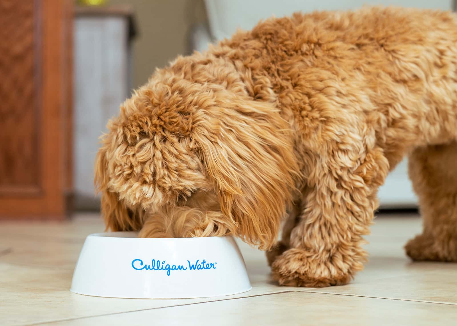 Culligan