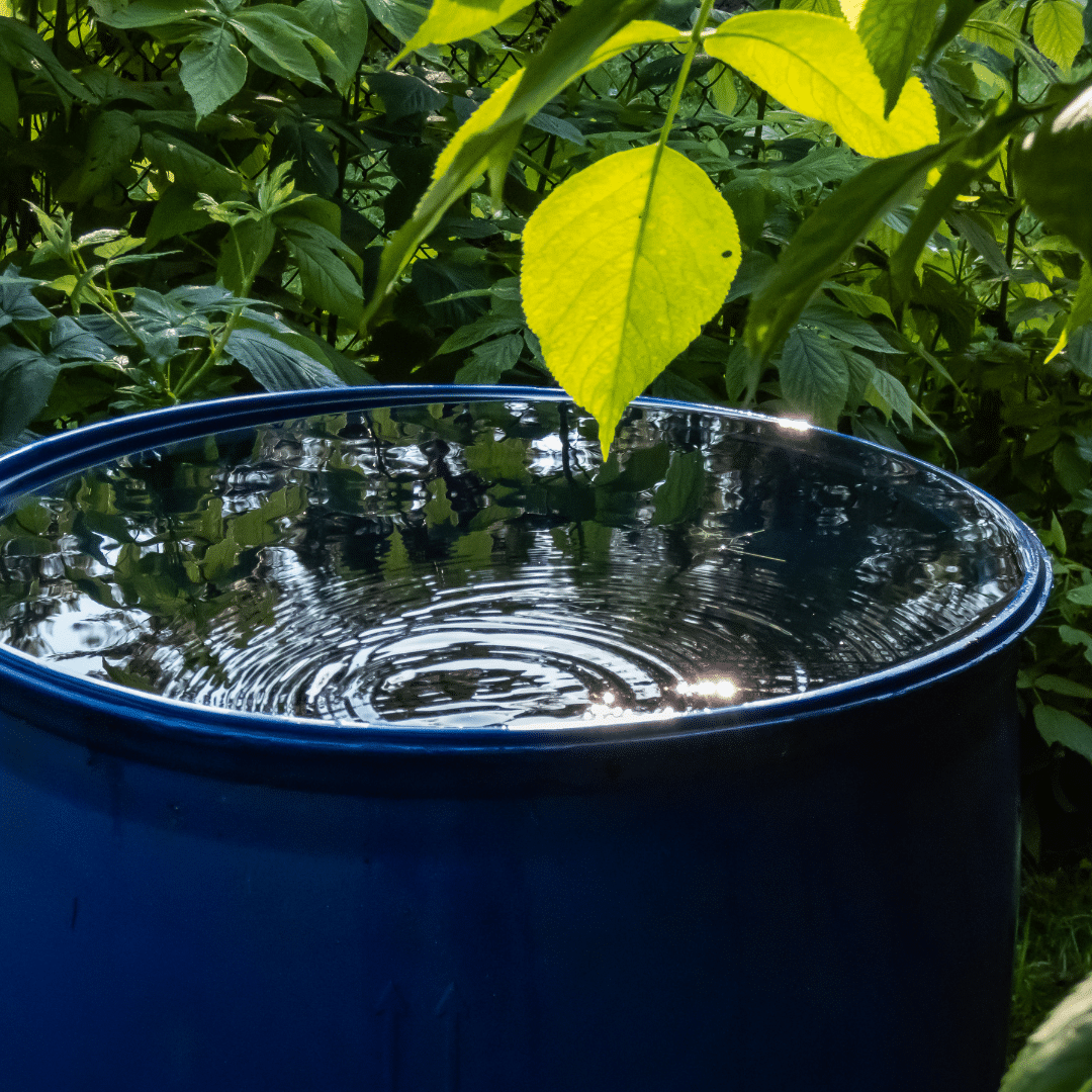 From the Ground Up: What’s Really in Your Water this Spring